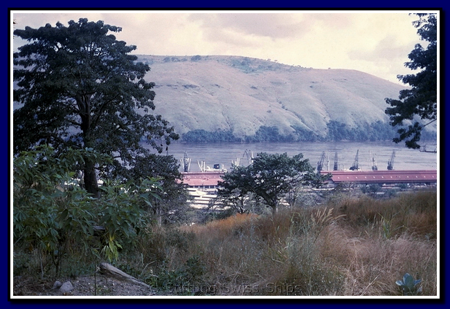 helvetia_044-detail-010-gr.png