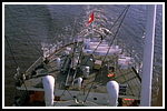 helvetia_044-detail-002-gr.png