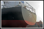magia_214_detail-002-gr-stern.png