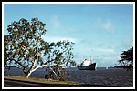 maloja_045-hc-11b-lagos.png