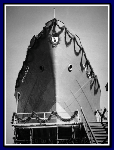 maloja_045-stapellauf-019b-gr.png