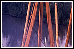 maloja_045-detail-009-gr.png