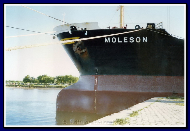 moleson_122-011-gr-bug.png
