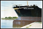 moleson_122-011-gr.png