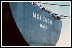 moleson_122-detail-002-gr.png