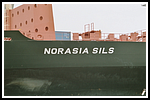 norasia-sils_detail-016-gr.png
