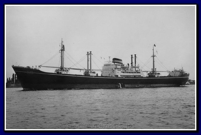jalazad_VWDF_5168405-gr-001.png