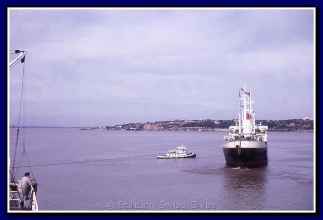 rhone_065-detail-003-gr.png