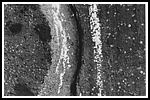 Ro 74 66 sandlaeufer1.png