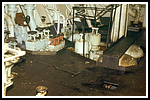 romandie_074-imm306-gs.png