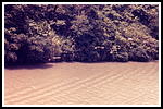 romandie_074_schuepach-detail-142-gr.png