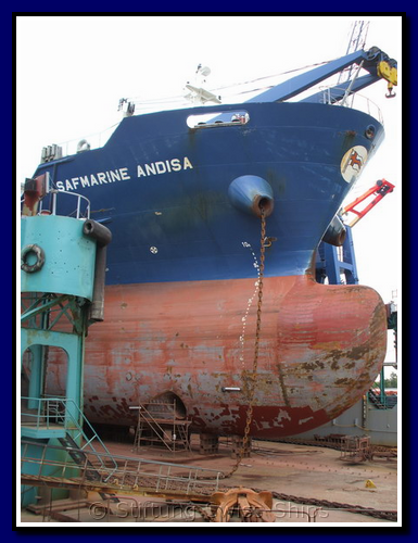 safmarine-andisa_192-026-gr.png