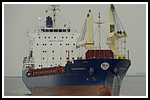 safmarine-basilea_172-138-gr.png