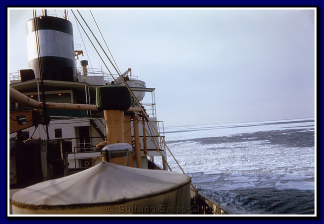 sunamelia_051-detail-008-gr.png