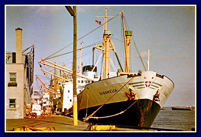 sunamelia_051-detail-031-bt-f.png