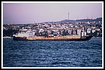 lattakia-queen_YKHG-001b-gr.png