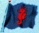 nautilus-line-flag